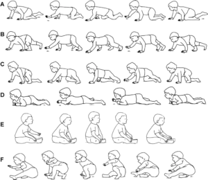 Hands and knees and types of crawling