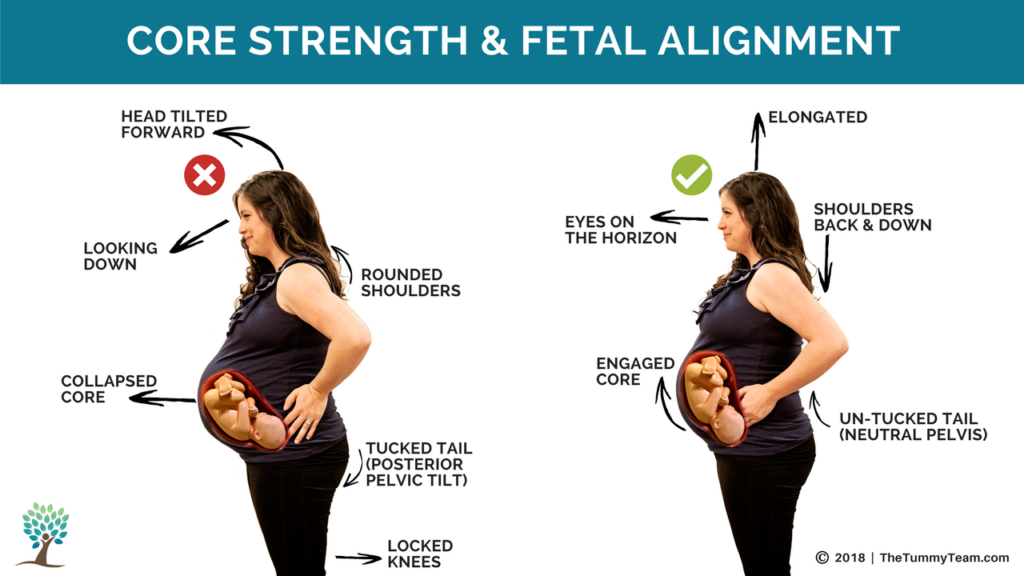 posture throughout pregnancy